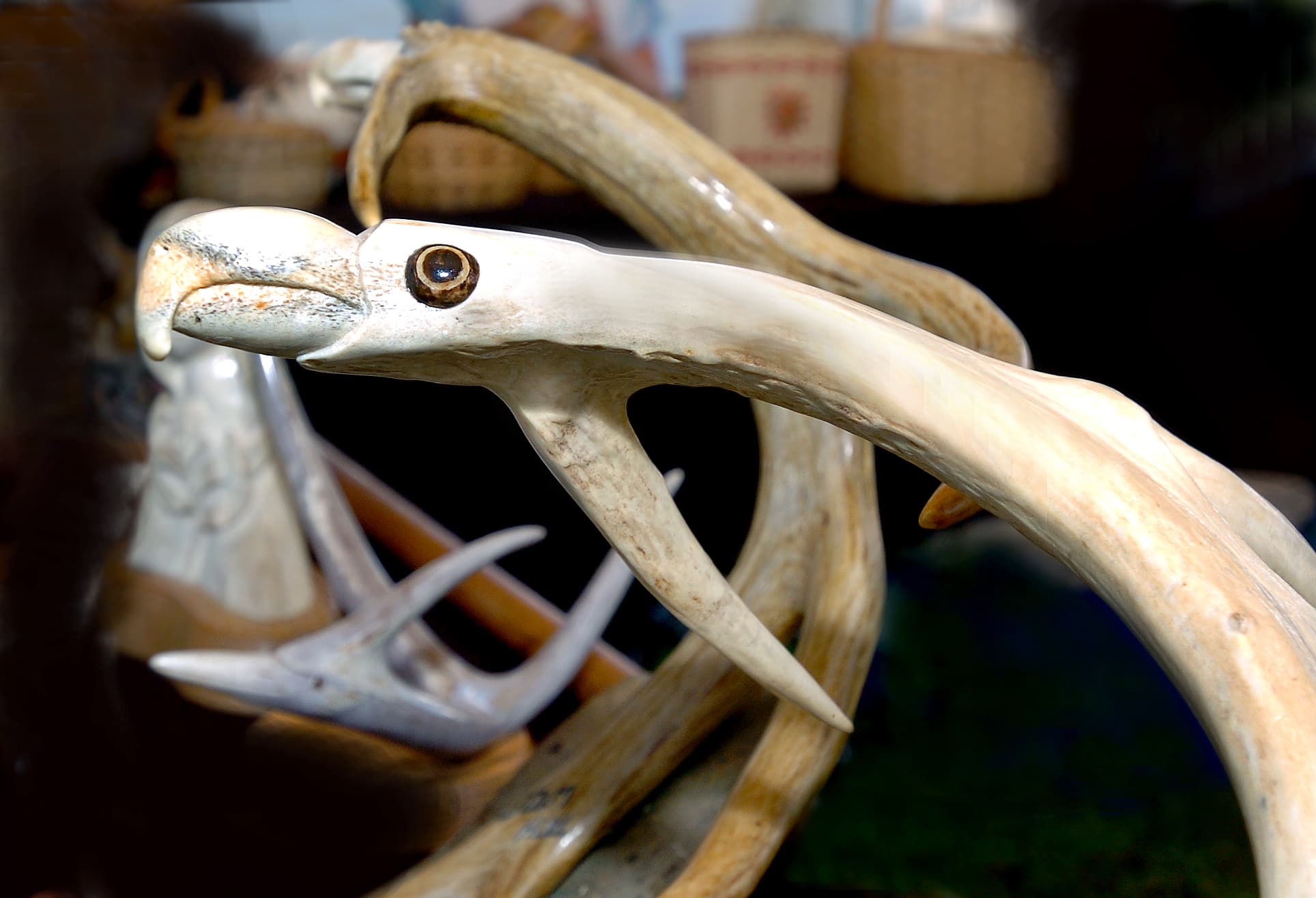 On the side of freedom