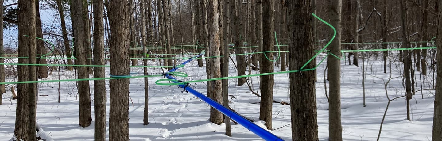 Wáhta̲’ Maple Farm