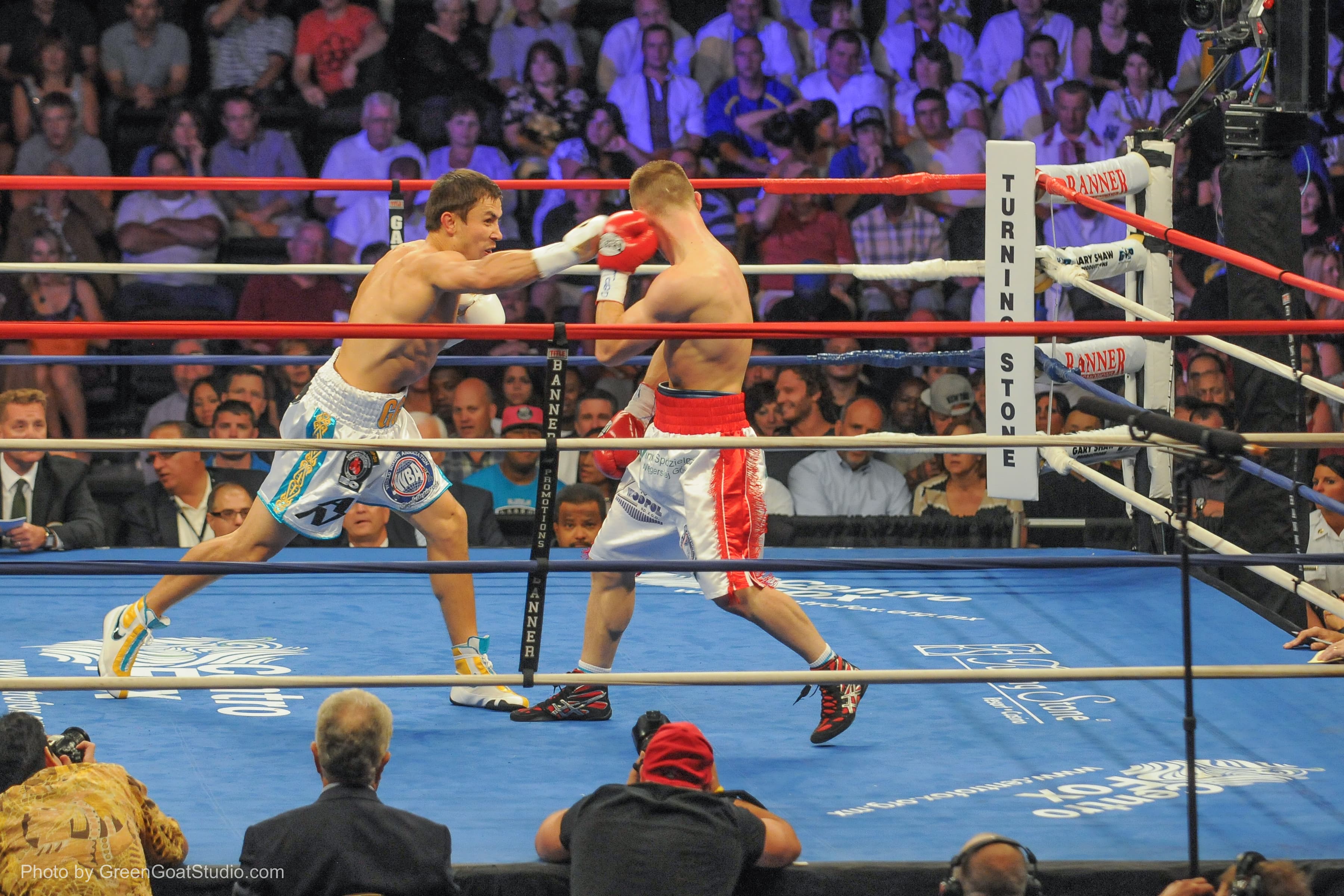 Athletic commission boxing