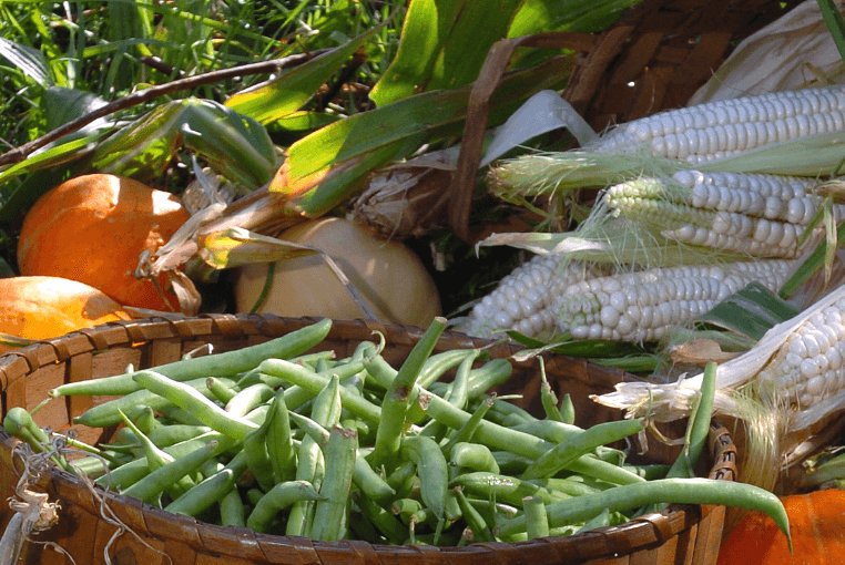 The Interworking of the Three Sisters