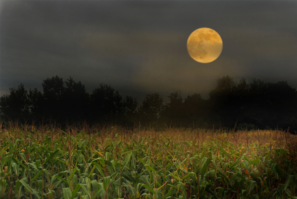 Eating the Seasons - Oneida Indian Nation