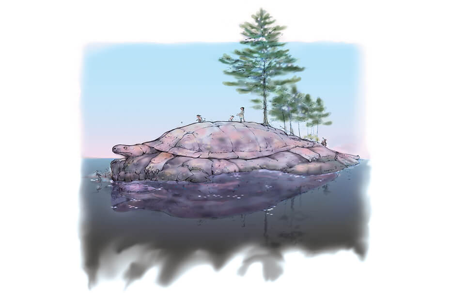native american turtle earth
